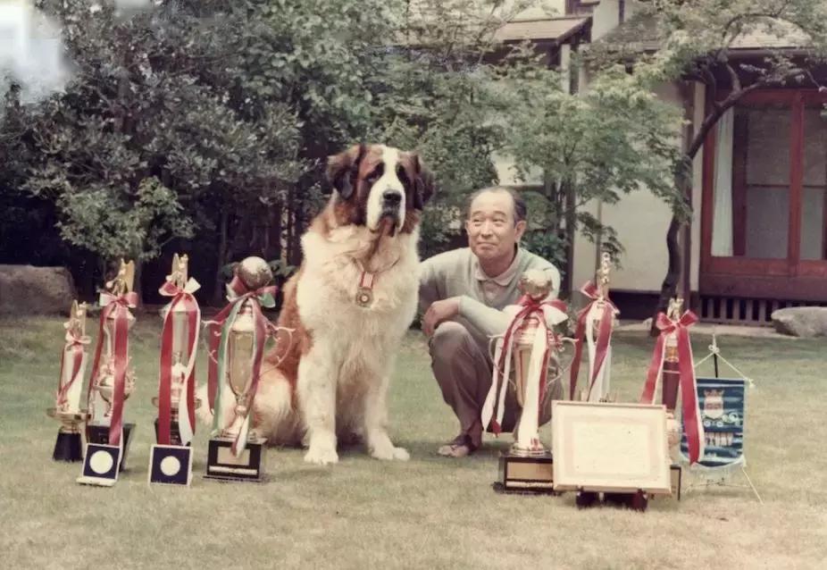 世人说我的爸爸是神，但他就是个普通人