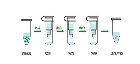 核酸检测pcr的方法,pcr核酸检测技术结果分析