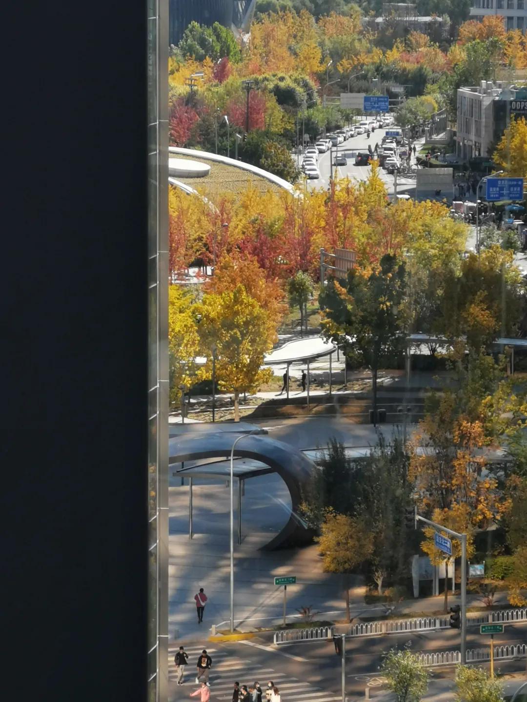 瞧不上北京的不只有上海，还有望京