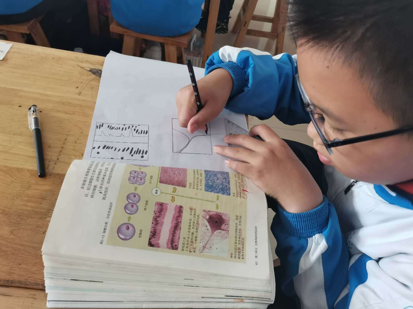 生物绘图大赛图片大全,地理生物绘图比赛