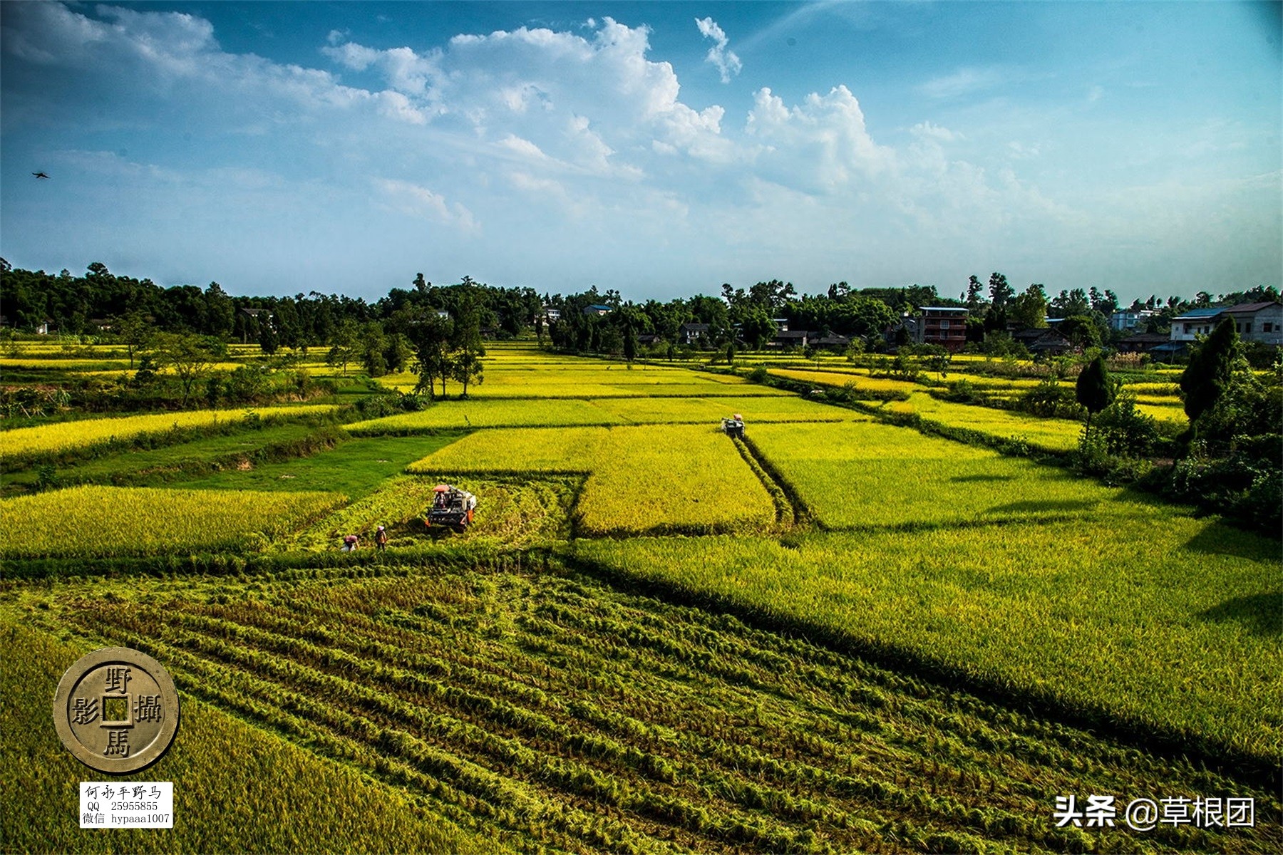 原广安县代市区有几个公社,广安消失的街道
