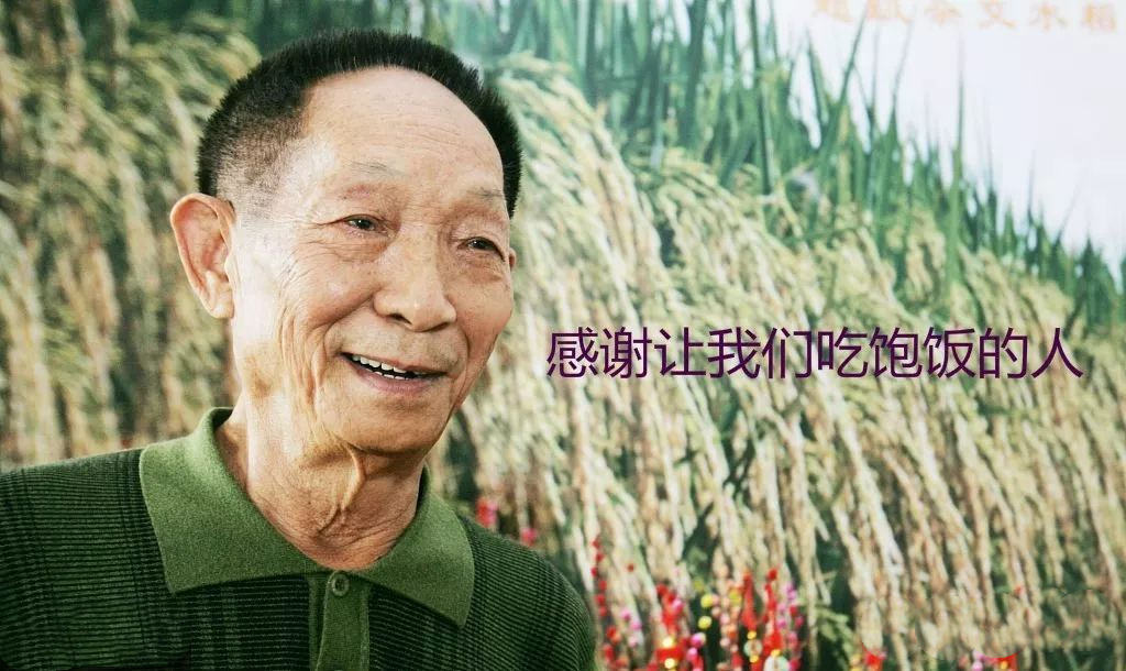 为什么密封好的大米也会生虫,大米生虫还有黑色粉末是虫卵吗