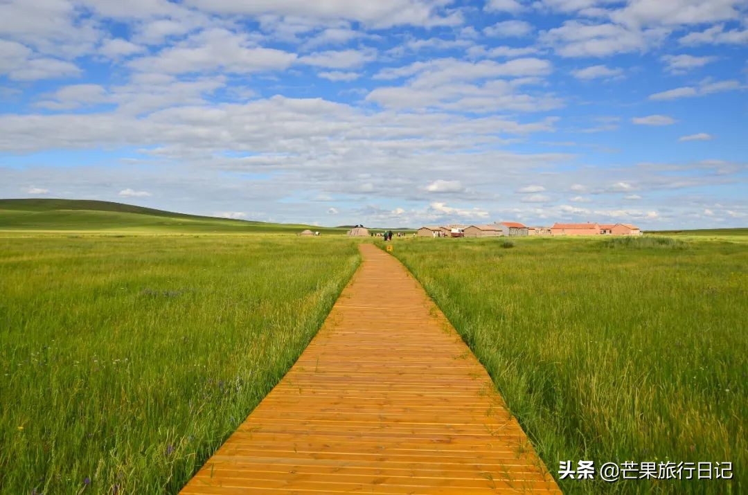 带妈妈旅游去西藏,带妈妈去内蒙