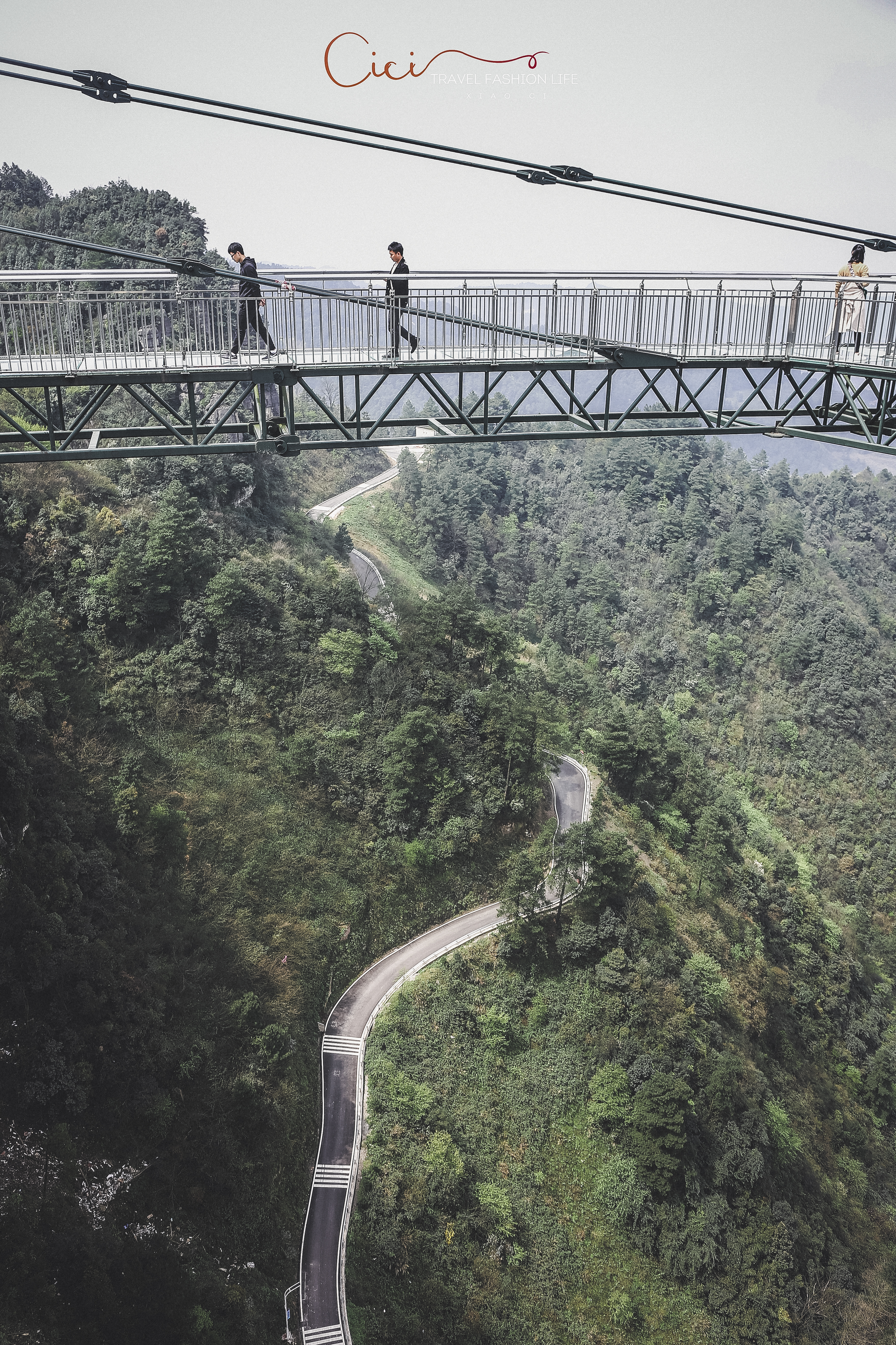 不可思议的奥陶纪