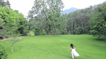 深圳游玩路线攻略必去的地方推荐,深圳4天自驾游攻略最新路线