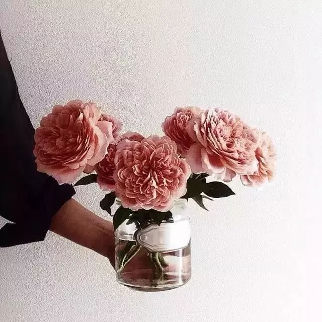 买回来的一束花如何插花,下班路上买一束花然后试着插花