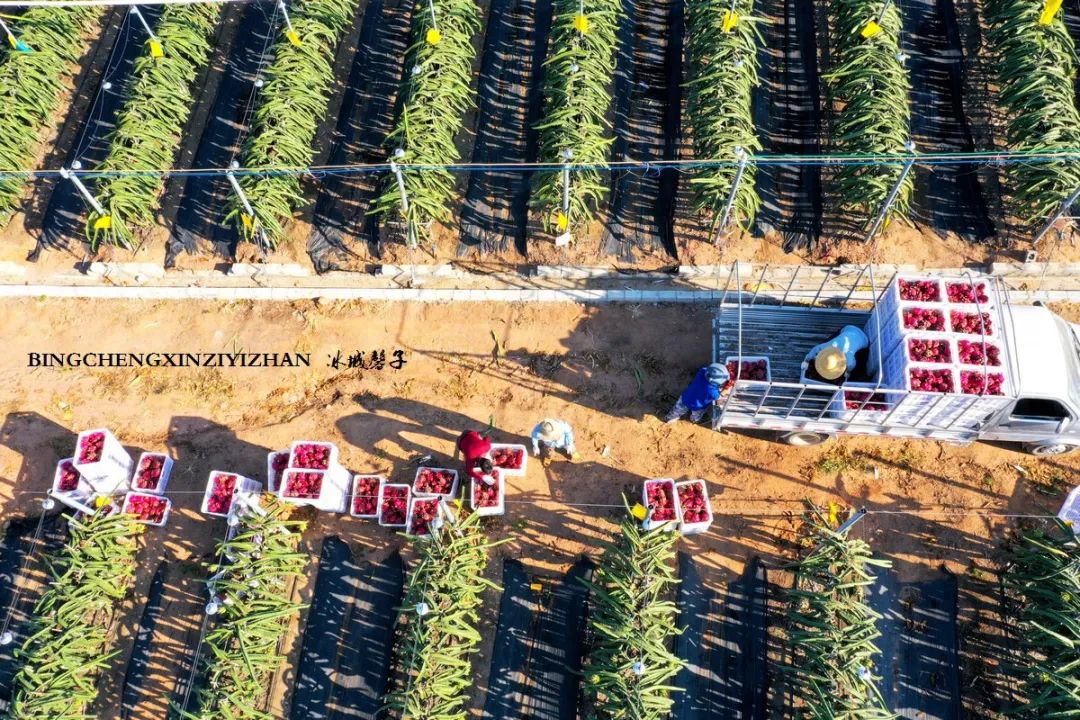 乐东九所海边康养基地,海南乐东九所景和家园