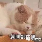 双11买什么化妆品好用,双11美妆大牌有什么优惠