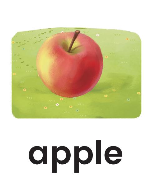 单词记忆小卡片怎么记单词,单词记忆法电子单词卡