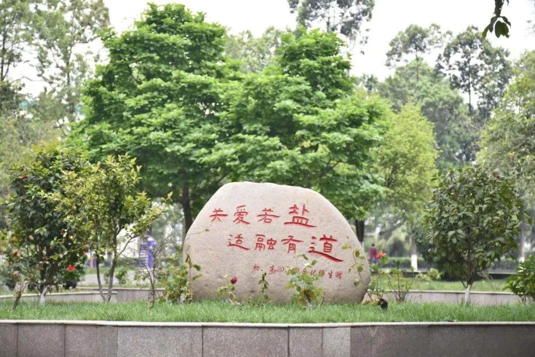 盐外课,盐溶解幼儿小班教案