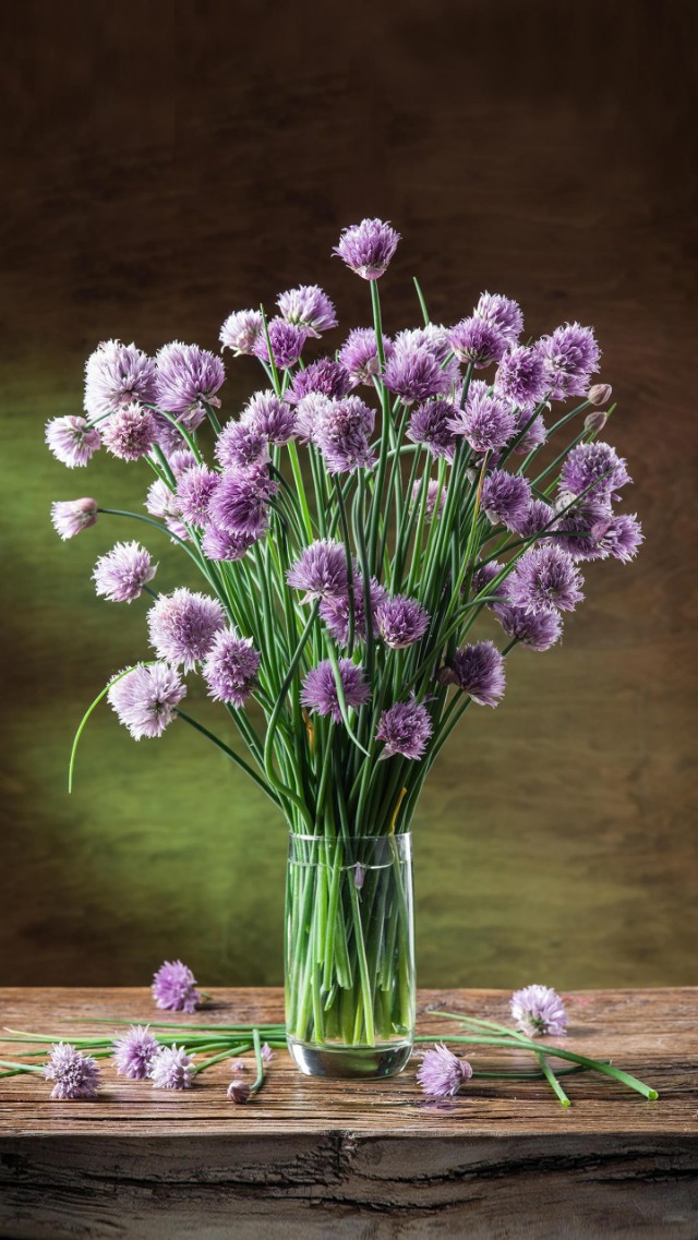 因卖淫嫖娼被抓获会有什么处罚,卖淫嫖娼有治安处罚书会有案底吗