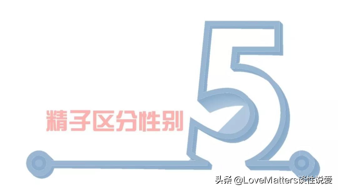 痛经吃止痛药什么时候有效果,痛经子宫腺肌症常用的止痛药