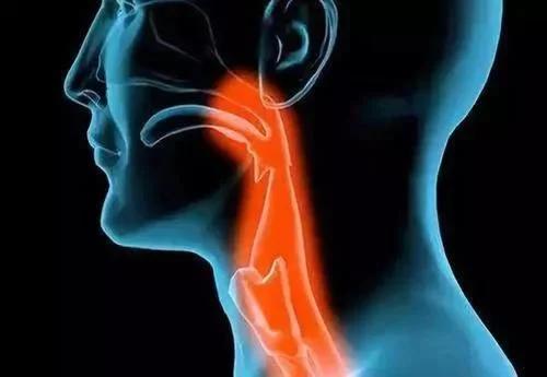 支气管炎克星治咳嗽,润肺止咳支气管炎的中药