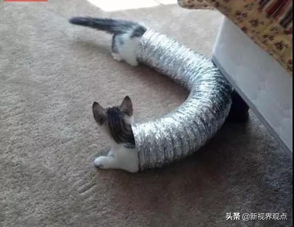 神奇的视觉错位图30张,神奇的错位照片