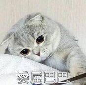 土星落第七夫妻宫什么意思,土星落夫妻宫