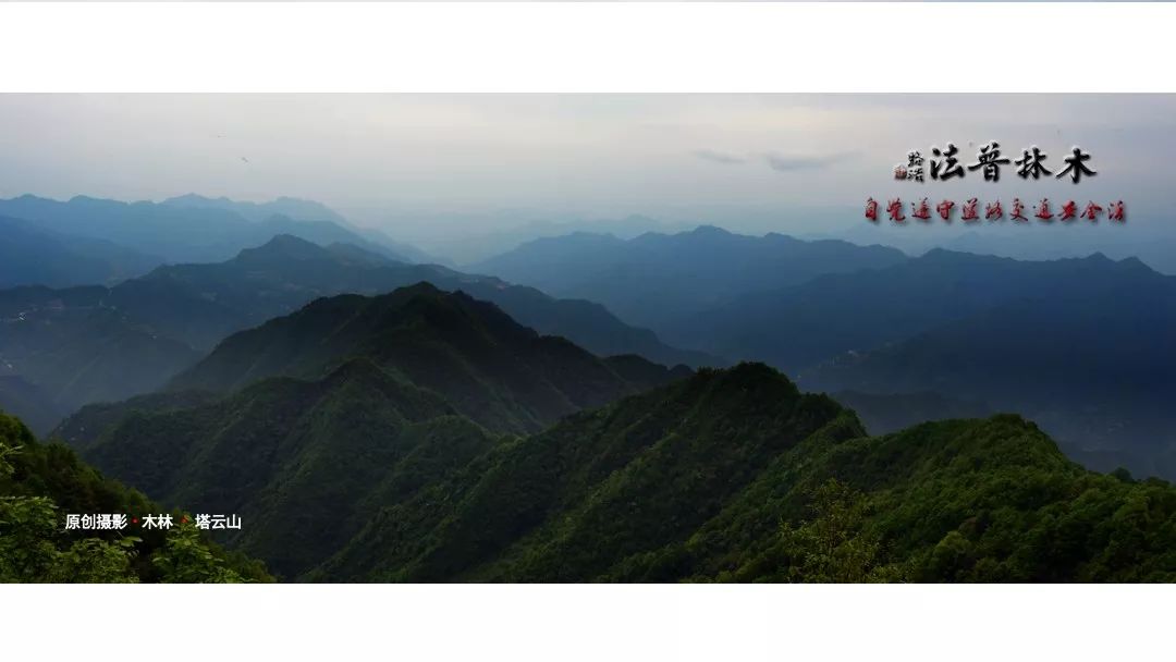 交通事故重伤构成交通肇事罪吗,交通事故特殊体质能评伤残吗