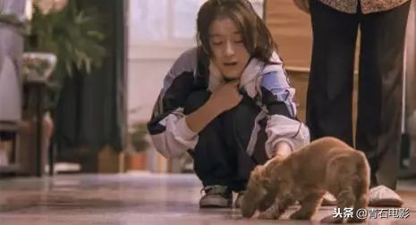 台湾十部顶级华语电影,近十年台湾经典华语电影