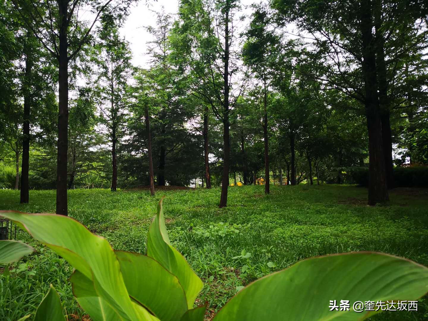 新农村科技兴农,新农人励志诗句