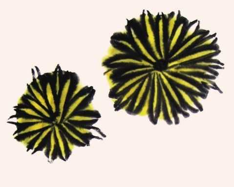 国画菊花的叶子画法步骤入门,梅兰竹菊国画菊花初学者怎么用笔