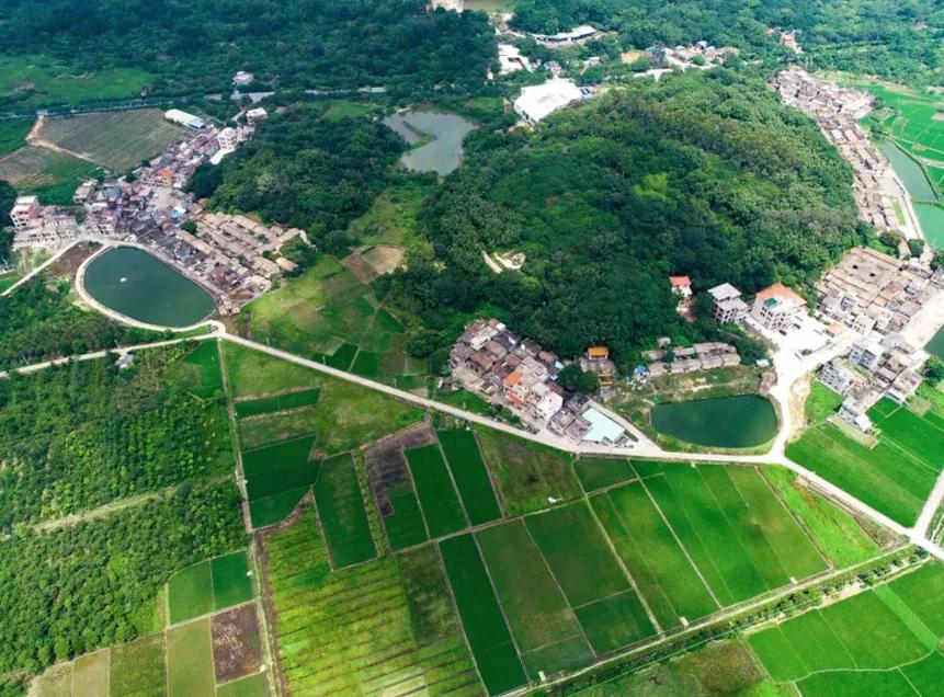 1987年广州第一个农村股份组织,广州农村集体经济组织