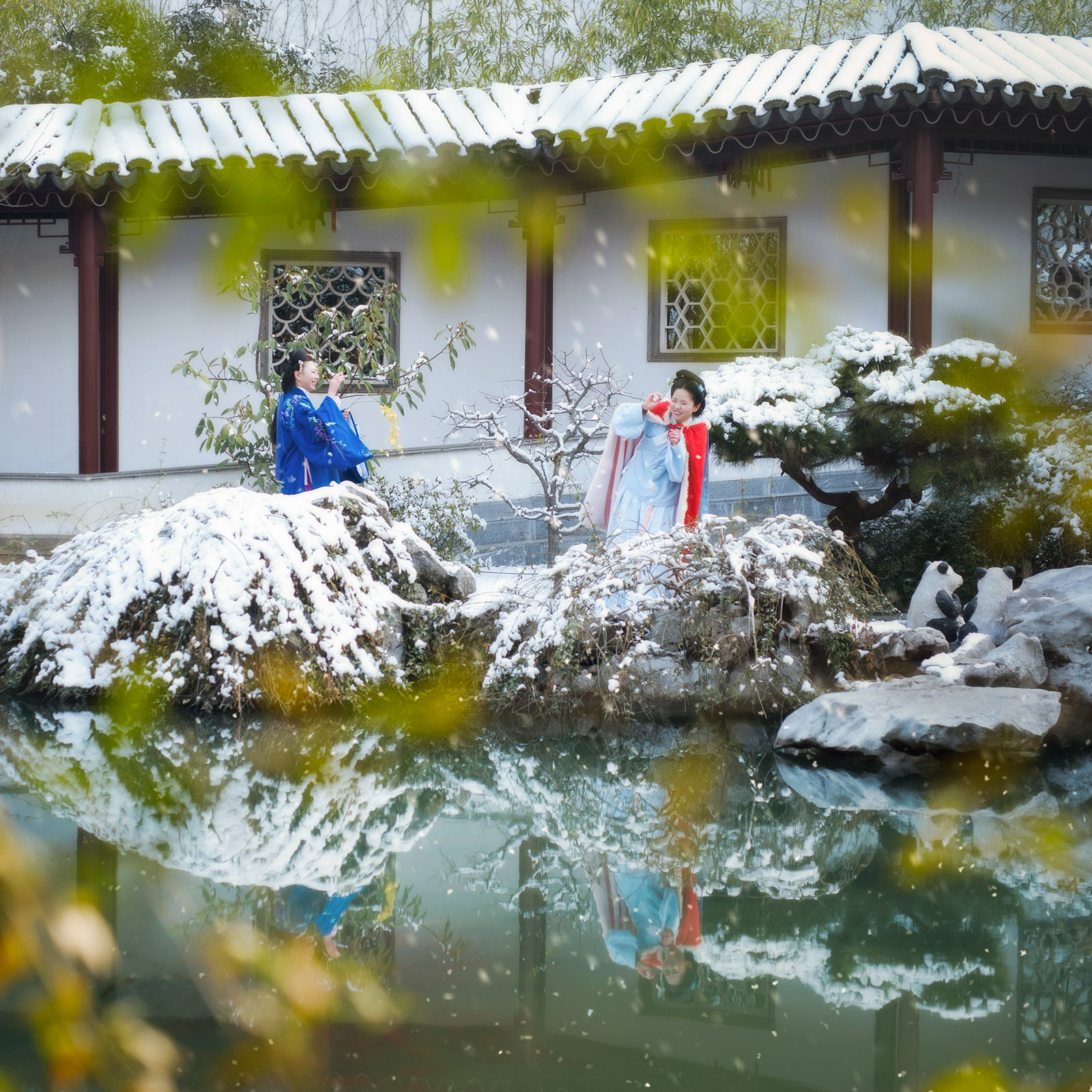 第14篇，尼康相机的标头-2021年元旦快乐