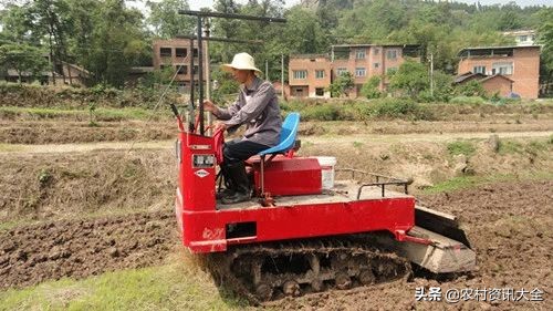 2020在农村做什么小生意赚钱,2022年农村做什么小本生意赚钱