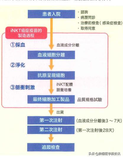 癌症就真的无法自愈了吗,癌症免疫疗法适用所有癌症患者吗