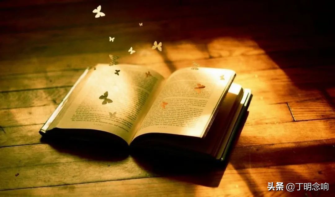 如何破解什么都想学，却什么都学不会的焦虑，这本书会给你答案