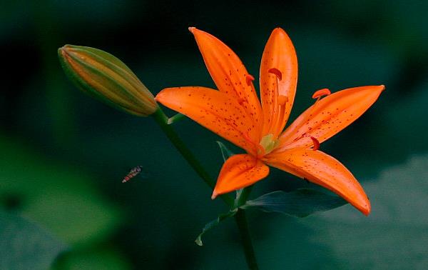 是什么突然让你变成熟了,总有那么一件事会让你彻底变成熟