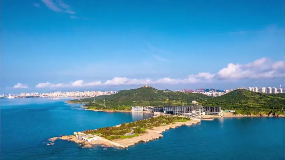 中国当代艺术周,当代艺术家周星驰