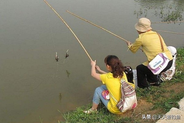 钓小龙虾最简单高效的方法,小龙虾的垂钓方法