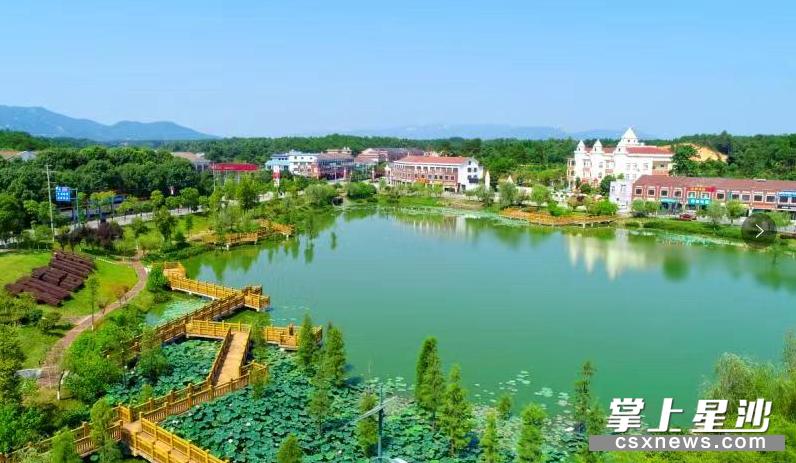 喜大普奔最新行情,喜大普奔动态