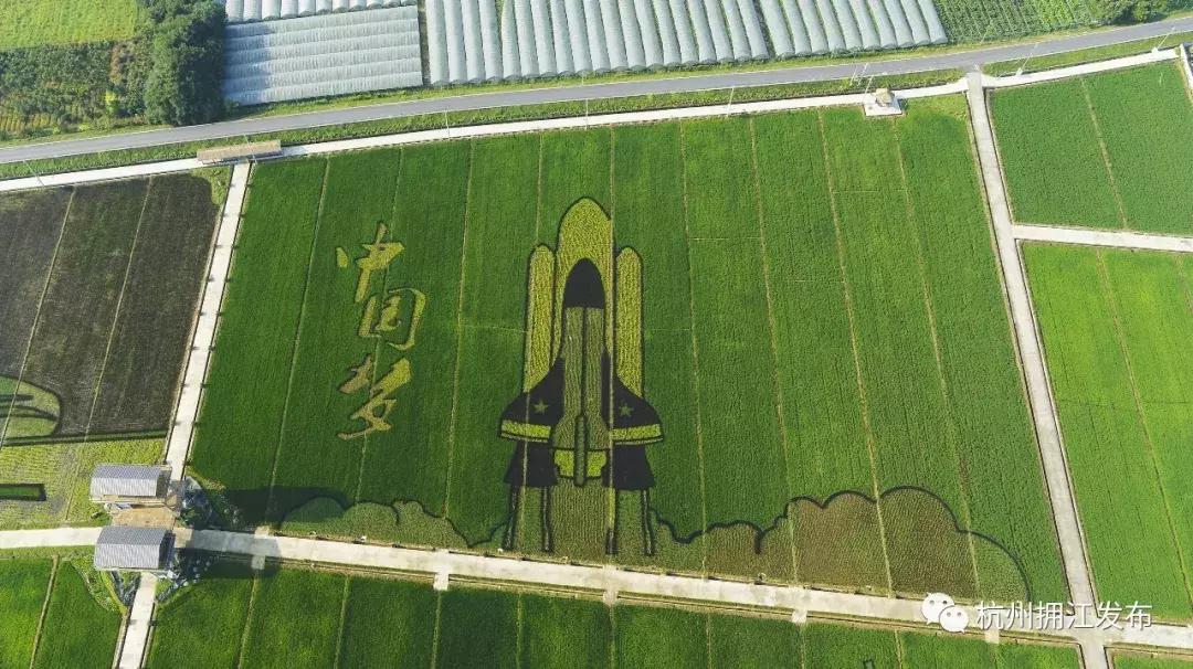 钱塘江出现巨幅画作,钱塘江大潮图片绘画