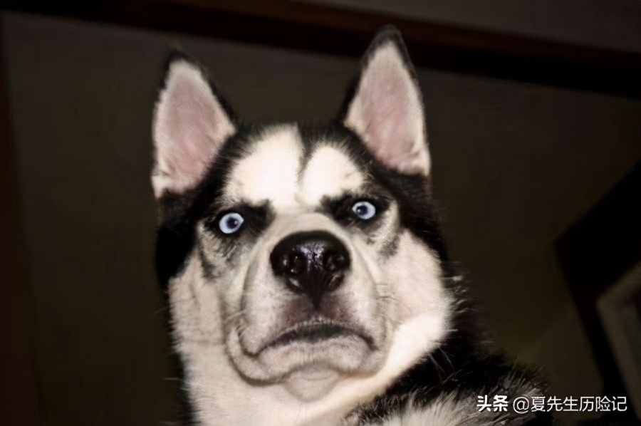 医保用了之后还能再用吗,佛山市7月医保