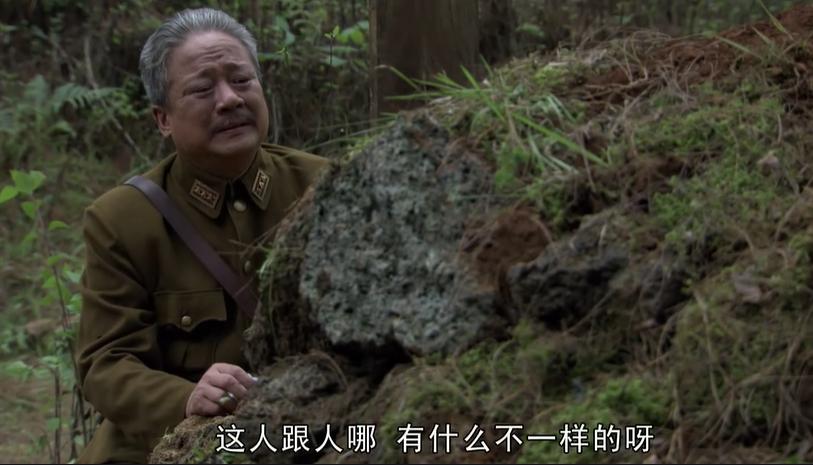 我的团长我的团分集深度解析,我的团长我的团深度观剧解析