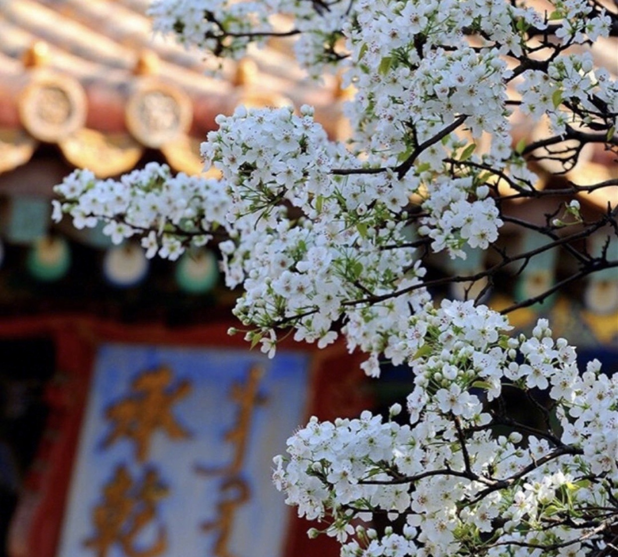 为什么你来北京我绝不建议你跟团