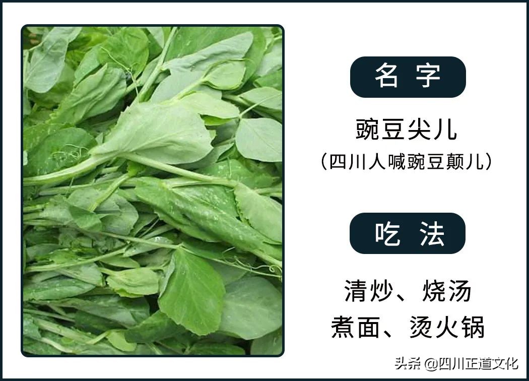 趣谈人的智慧,趣谈重庆