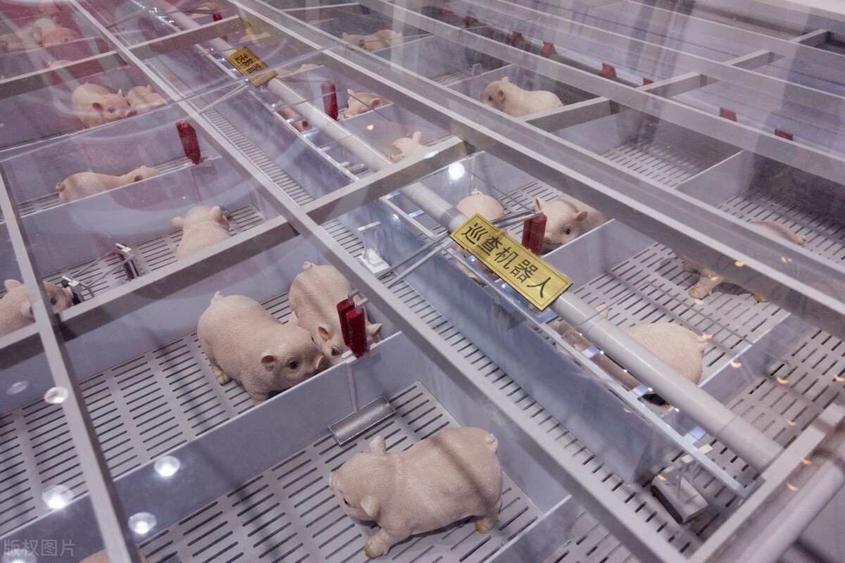 牧原股份盈利模式及风险分析 (牧原股份投资价值分配)