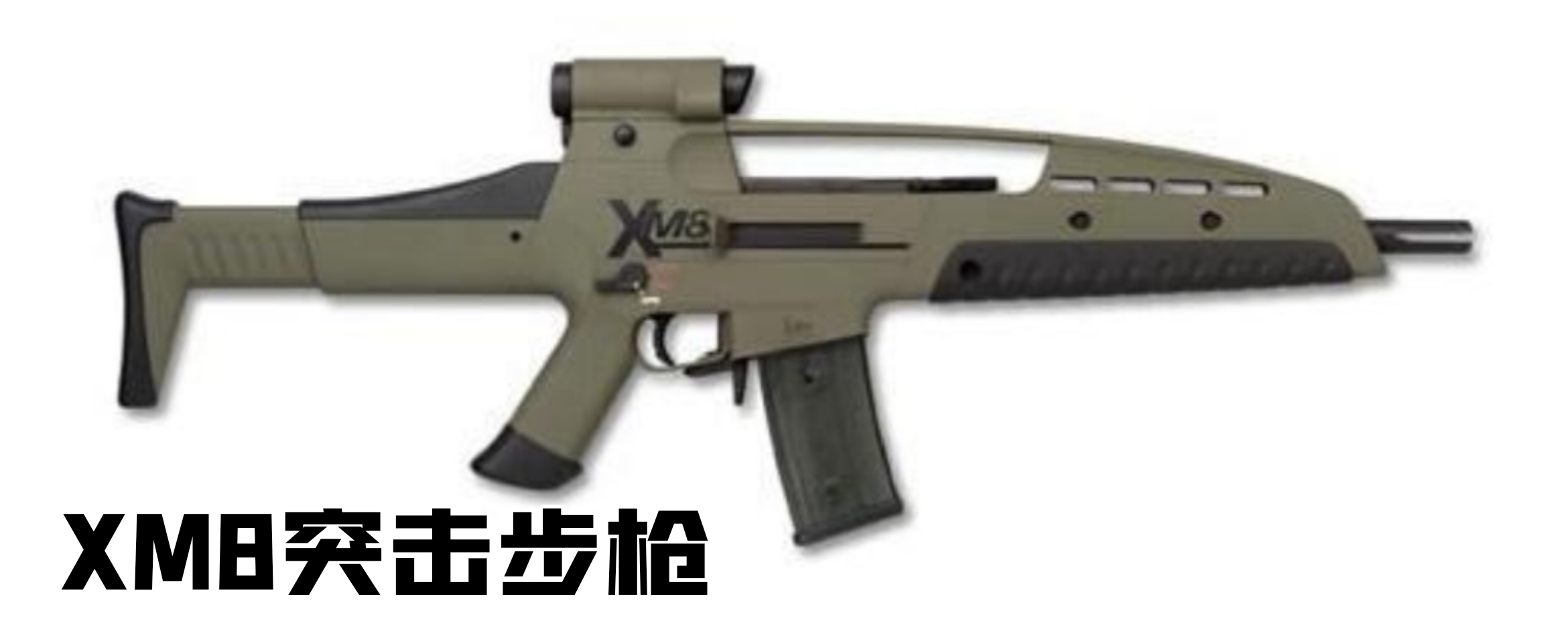 英国枪史图册全篇,德国枪图片