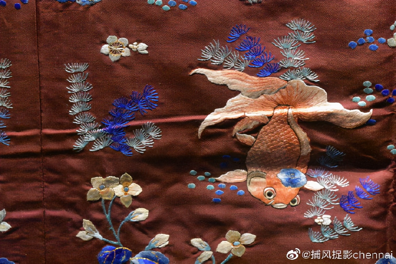 金鱼展和金鱼题材*物文**展