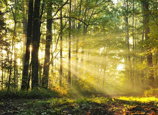 世界不是你想象的那样迷茫,不必彷徨不要悲伤