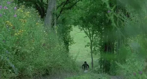 热爱画画的你,适合画画的人看的电影