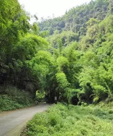 成都秋老虎发威的地方,成都秋老虎最新视频