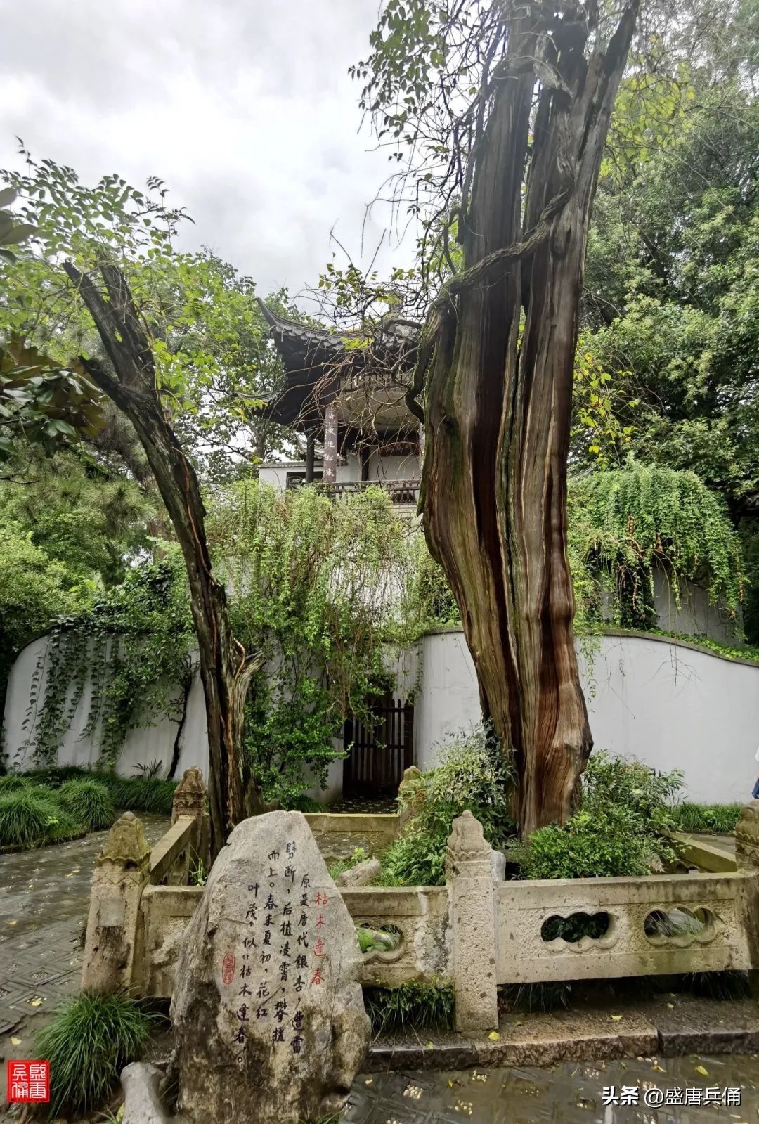 扬州｜垂杨不断接残芜，雁齿红桥俨画图