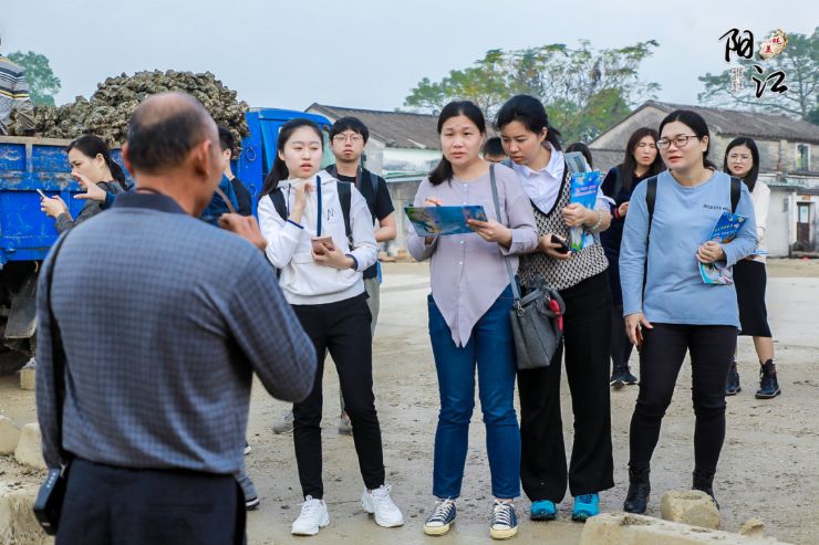 广东生蚝最好吃的地方,广东哪里吃生蚝最便宜