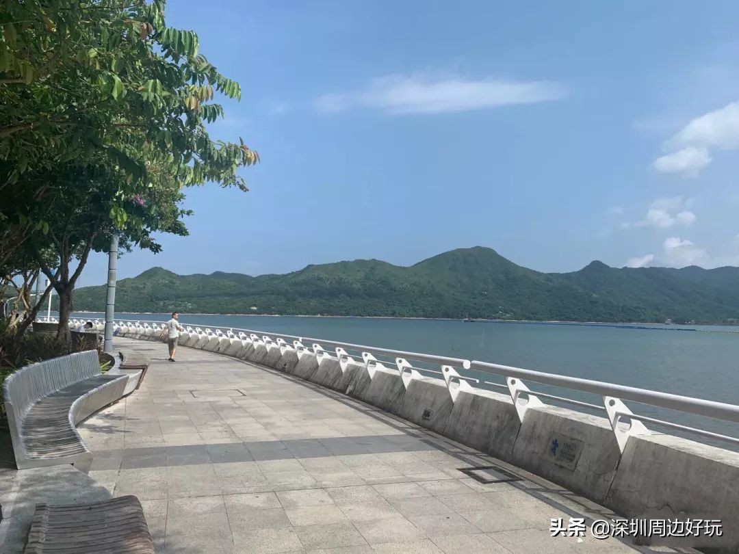 深圳去香港哪里买免税品,不用去香港也能在万宁买东西吗