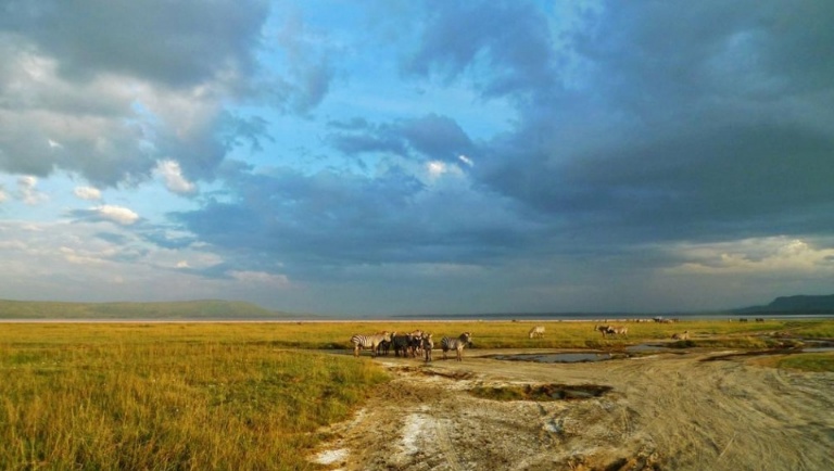 莫扎特为什么只活了35岁,神童莫扎特视频全集