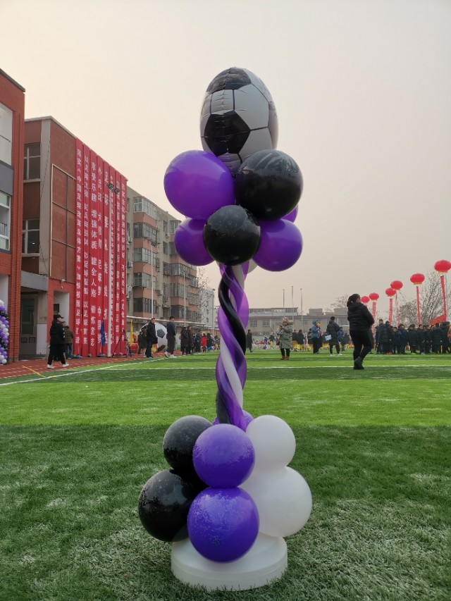 校园足球杯圆满落幕,华奥杯校园足球联赛