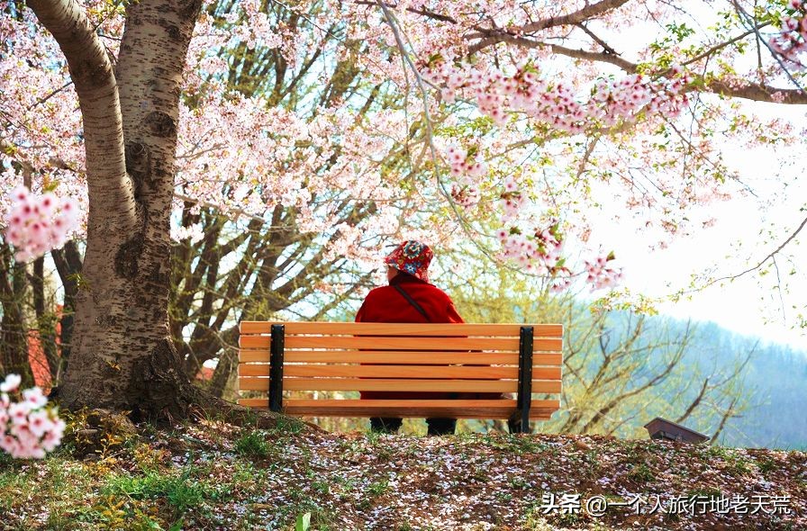 厦门海滨老城旅游,厦门最美海滨城