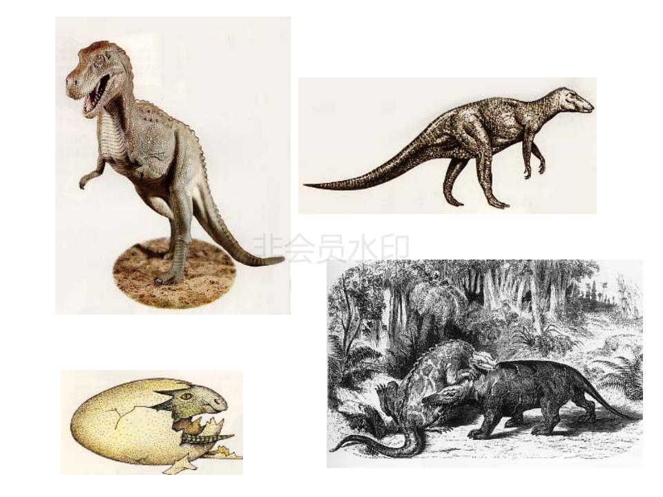 一年级下册语文教材分析ppt,一年级下册语文彩虹ppt课件